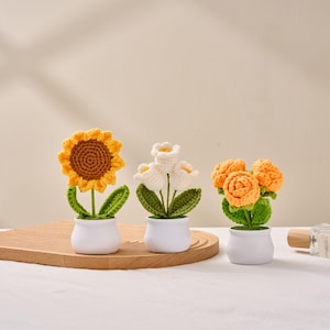 Mother&#39;s Day gift, Crochet Flower Pot, Crochet Flower Gift, Graduation, Birthday Gift for Friend, Desk Decorations, Forever Lasting Flowers
