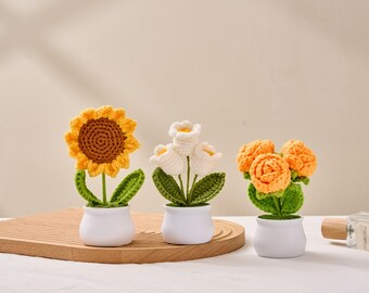 Mother's Day gift, Crochet Flower Pot, Crochet Flower Gift, Graduation, Birthday Gift for Friend, Desk Decorations, Forever Lasting Flowers