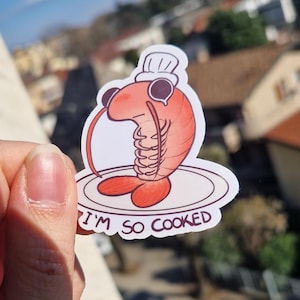 Funny stickers - I'm so cooked, shrimp, tired, stressed, anxiety, adhd, artist life