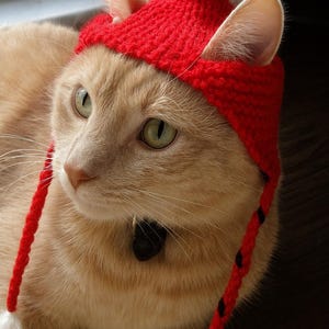 May include: A ginger cat wearing a red knitted hat with a white pom-pom and red braided ties. The cat has green eyes and a black collar. The hat is a festive accessory.