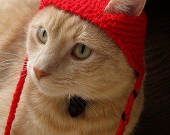 Patrón de tejido de gorro para gato • Gorro para mascota en PDF • Disfraz de punto para gatos y perros