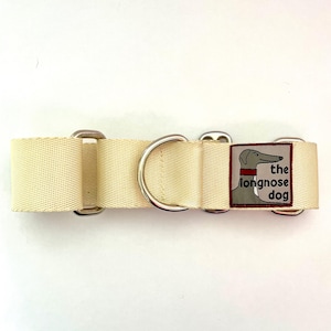 Peut inclure: Un collier de chien crème avec des accessoires en argent et un patch qui dit "the longnose dog" en texte noir.