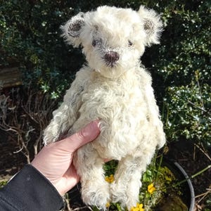 Peut inclure: Un ours en peluche blanc avec un pelage duveteux et hirsute. L'ours a des yeux noirs et un nez brun. L'ours est tenu dans une main.