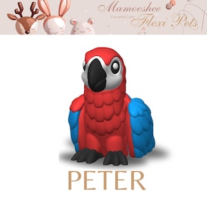 Flexi Parrot Peter - 3D gedruckte Gliederschildkröte, perfektes Geschenk für Tierliebhaber und Sammler