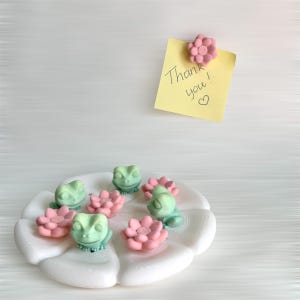 Puede incluir: Un nenúfar de cerámica blanca con seis imanes de rana verde y seis imanes de flor rosa. Los imanes están dispuestos en círculo sobre el nenúfar. Una nota adhesiva amarilla con el texto "¡Gracias!" y un corazón rosa está pegada a una pared blanca con un imán de flor rosa.