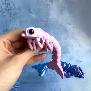 Cute Flexi Shrimp | Articulated Prawn | STL File For 3D Print
