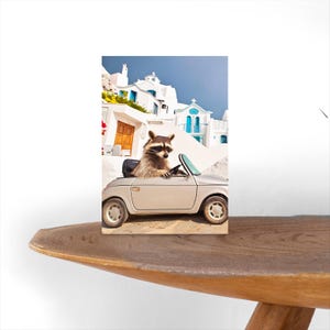 Postkarte Waschbär fährt Auto
