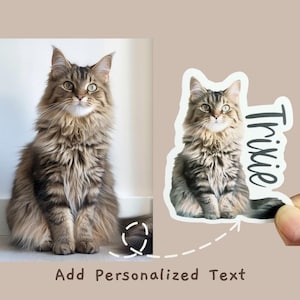 Custom Pet Sticker, Die Cut Vinyl Waterproof, Personalized Gift, Custom Dog Sticker, Custom Cat Sticker, Water Bottle Sticker, Pet Decal