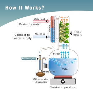 Pu&ograve; includere: Diagramma che illustra il processo di estrazione degli oli essenziali. L'immagine mostra un apparato di distillazione con etichette che indicano l'ingresso e l'uscita dell'acqua, il raffreddamento, il vapore e gli oli essenziali. Il processo coinvolge erbe e fiori.