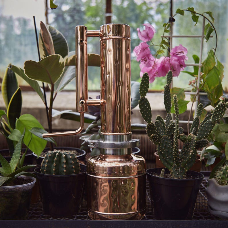 Pu&ograve; includere: Un alambicco in rame con un corpo cilindrico e tubi collegati. L'alambicco &egrave; circondato da piante in vaso, tra cui cactus e foglie verdi, in una serra. Il rame ha una superficie lucida e riflettente.