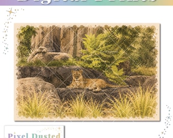 Animal Kingdom Inspired Lioness Watercolor Artwork | African Safari Savanna | Disney Home Decor | Digital Instant Download | WDW Poster
