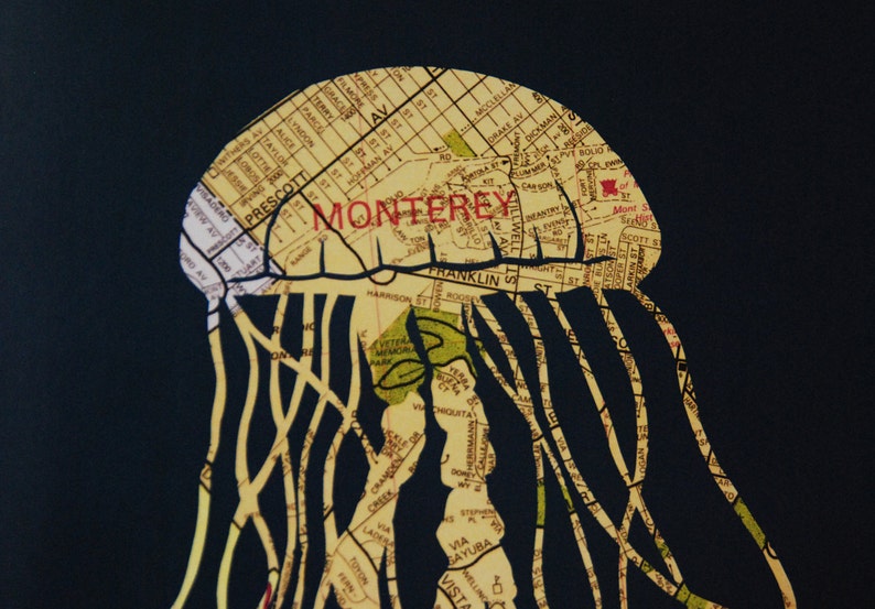 Monterey Jellyfish Art Print // Map Papercut Poster // 11x14 Wall Art image 5