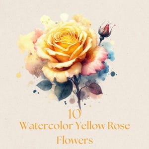 Clipart de rosa amarilla en acuarela: paquete PNG de flores de otoño, descarga digital, impresión por sublimación