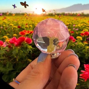 May include: A faceted, pink crystal knob with a silver base is held in front of a vibrant field of flowers. The knob is partially transparent, revealing a glimpse of a flower inside. Butterflies flutter in the background under a bright blue sky.