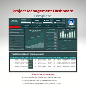 Project Management Dashboard: Team Productivity Tracker (Google Sheets Template)