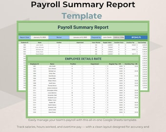 Payroll Summary Report Template | Google Sheets Salary Tracker