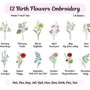 12 Geburtsmonat Blumen Stickerei - Blumen Bundle - Maschinengesticktes Blumenmuster - Digitales Blumenmuster - Sofortiger Download - 6 Größen - Pes Dst-Datei