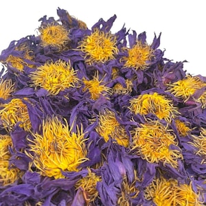Organic Blue Lotus Flowers | Whole Flowers & Crushed Flowers | Nymphaea caerulea Sacred water lotus~Sacred Lotus |Sacred Water Lily