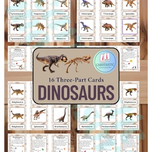 Dinosauri Schede in tre parti (16) Lingua Montessori con descrizione e scheletro / Scuola materna, digitale, abbinamento