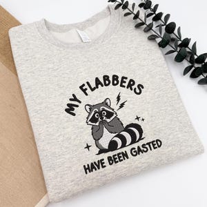 Embroidered My Flabbers Have Been Gasted Shirt, Funny Humor Sweatshirt, Flabbergasted Shirt, Funny Raccoon Hoodie, Funny Tee for Women