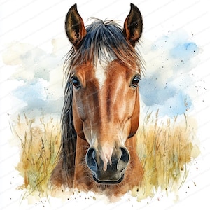 15 Horse Close-Up Clipart | Equestrian Digital Art Illustration | Printable Watercolor clipart | High Quality JPGs | Paper craft | journal