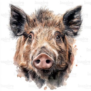 Wild boar Clipart Illustration, Close-up Watercolor Graphic, Printable Watercolor clipart, 15 High Quality JPGs, Digital download