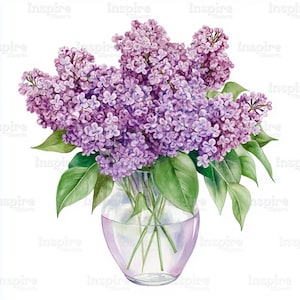 Colección de imágenes prediseñadas de lilas, jarrón con ramo de lilas, imágenes prediseñadas de acuarela imprimibles, archivos JPG de alta calidad, descarga digital, manualidades de papel, diarios