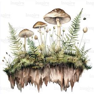 15 fougères botaniques Clipart, oeuvre d'art fougère mousse, clipart aquarelle imprimable, haute qualité, téléchargement numérique, créations en papier, journaux indésirables