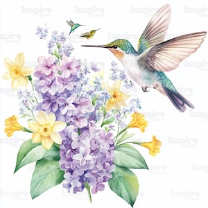 15 lentekolibrie illustraties, Colibri-graphics, afdrukbare aquarel clipart, hoge kwaliteit jpg's, digitale download, Paper Craft