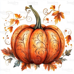 15 cliparts d'ornement citrouille d'Halloween, aquarelle imprimable, fichiers JPG de haute qualité, téléchargement numérique, créations en papier, journaux indésirables