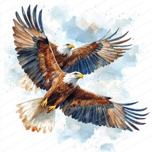 15 Clipart di volo di accoppiamento dell'aquila. Uccelli maestosi innamorati. Illustrazione stampabile. Clipart ad acquerello. JPG di alta qualità. Carta artigianale.
