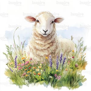 15 Farm Animals Clipart, Watercolor Sheep Illustrations, High Quality JPGs, Digital download, High resolution, Paper craft, junk journals