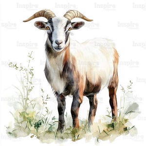 15 Farmhof Ziege Art Clipart, druckbare Aquarell Clipart, hochwertige JPGs, digitaler Download, Papiermodell, Junk Journals