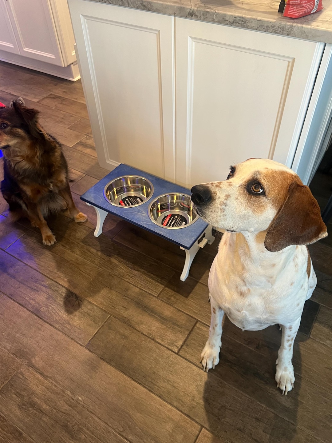 Rustic Elevated Dog Bowl Stand - Etsy