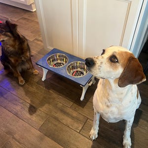 Elevated Dog Bowl Stand: Rustic Wood Feeder with Stainless Steel Bowls, dog bowl, custom