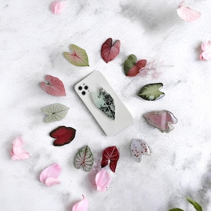 May include: A white smartphone with a leaf design is surrounded by colorful leaf-shaped accessories and pink flower petals on a white surface. The leaves are various shades of green, red, and pink.