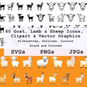 60 icone di capra, pecora e agnello clipart / pacchetto SVG di animali da fattoria / silhouette vettoriale, contorno, stile linoleografia / nero e colorato / testa faccia PNG