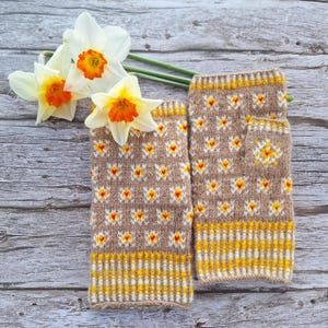 Puede incluir: Un par de guantes sin dedos tejidos con un patrón floral marrón, amarillo y blanco. Los guantes están decorados con pequeñas flores amarillas y rojas. Narcisos blancos con centros naranjas se colocan junto a los guantes.