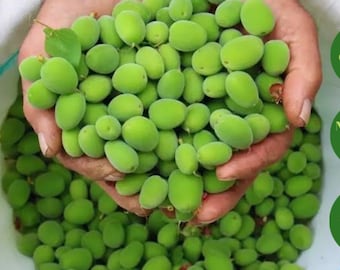 Fresh Green Almonds | Fresh Raw Almond | Vegan Fruit | Seasonal Taste | Organic Snacks | Healty Appetizer | Mandorle Verdi