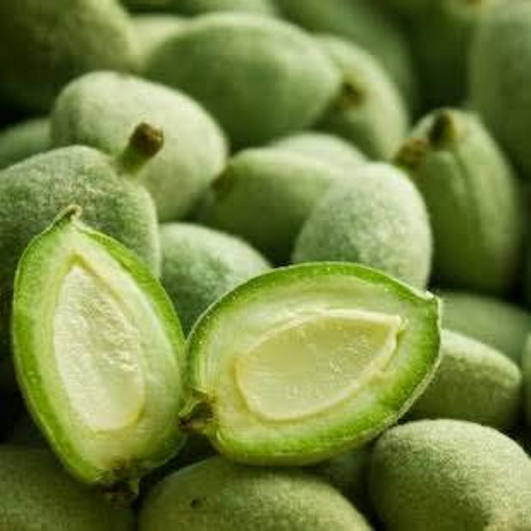 fresh-green-almonds-fresh-raw-almond-vegan-fruit-seasonal-taste