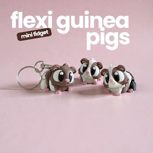 May include: Three small articulated guinea pig figures with large eyes and pink noses. One figure is attached to a silver metal keyring. The text flexi guinea pigs mini fidget is displayed in white and brown above the figures.