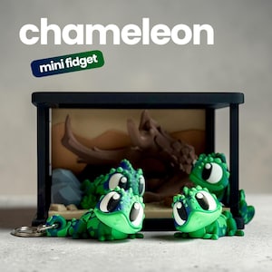 May include: A green and blue chameleon mini fidget toy with large white eyes, positioned in front of a black frame containing a brown desert-themed diorama. The text chameleon and mini fidget are printed in white and green above the object.