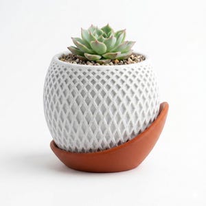 May include: A small, light green succulent plant potted in a spherical white planter with a textured diamond lattice pattern. The planter sits inside a curved, smooth, terracotta-coloured saucer that cradles the base of the round container.