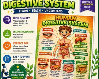 Human Digestive System Poster NGSS aligned PDF printable