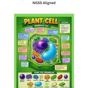 Op de afbeelding: Een kleurrijke poster met een diagram van een plantencel voor wetenschap op de middelbare school. De poster toont gelabelde organellen zoals de celkern, chloroplast en celwand. De tekst bovenaan luidt "Plant Cell Poster | Cell Organelles Diagram | Middle School Science | NGSS Aligned."