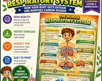 Human Respiratory System Poster NGSS aligned PDF printable