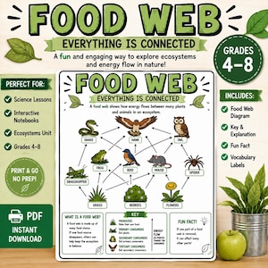 Può includere: Un poster educativo intitolato Food Web Everything Is Connected, che presenta un diagramma di animali e piante con frecce che mostrano il flusso di energia. Include una legenda, fatti curiosi ed etichette di vocabolario per le lezioni.