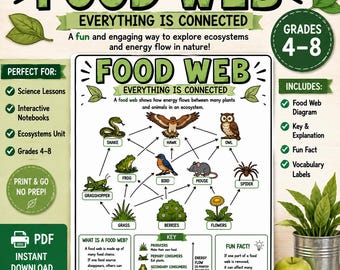Food Web Poster | Middle School Science Classroom Decor | Printable Food Chain Anchor Chart
