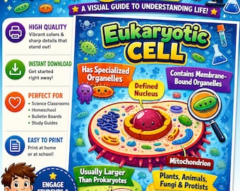 Eukaryotic Cells Poster | Middle School Science Classroom Decor | Cell Structure Anchor Chart | NGSS Biology Poster