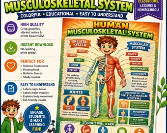 Human Musculoskeletal System Poster NGSS aligned PDF printable